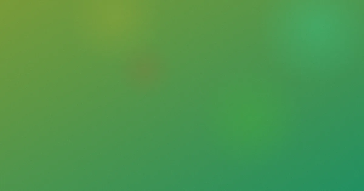 肩颈操攻略：横向对比